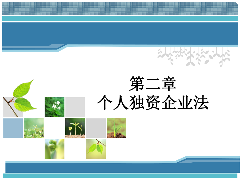 个人独资企业.ppt_第1页