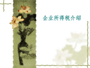 企业所得税介绍.ppt