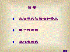 四川农业大学生物化学考研854考研生物氧化.ppt