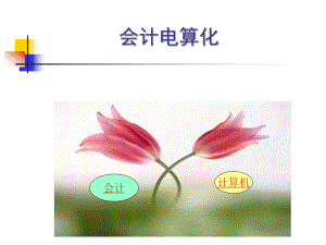 《会计电算化》引言.ppt