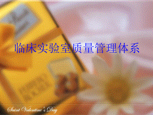 临床实验室质量管理体系.ppt