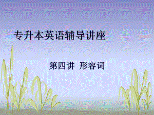 专升本英语辅导讲座04.ppt