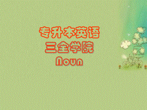 专升本英语名词部分.ppt