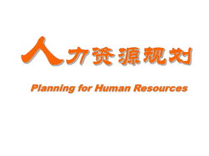 人力资源规划(10).ppt