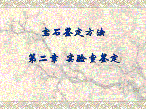 II2实验室鉴定.ppt