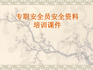 专职安全员培训课件.ppt