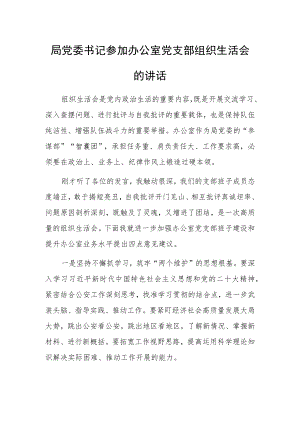 局党委书记参加办公室党支部组织生活会的讲话.docx