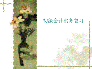 初级职称会计实务重点复习.ppt