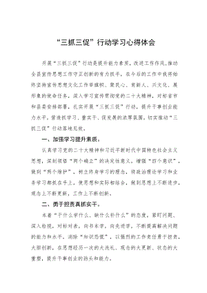 “三抓三促”行动学习心得体会三篇模板.docx