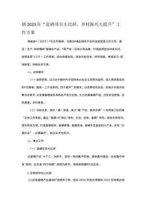 镇2023年“富硒项目大比拼、乡村振兴大提升”工作方案.docx