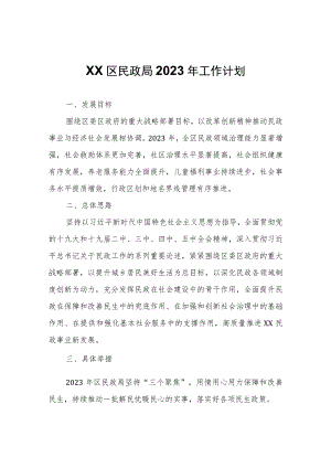 XX区民政局2023年工作计划.docx