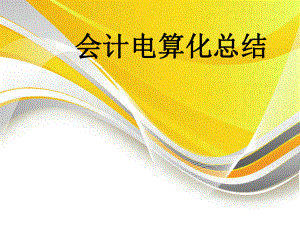 会计电算化总结.ppt