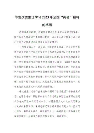 市发改委主任学习2023年全国“两会”精神的感悟.docx