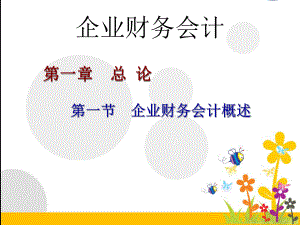 企业财务会计概述.ppt