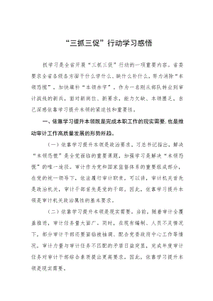 2023年党员关于落实“三抓三促”心得体会3篇.docx
