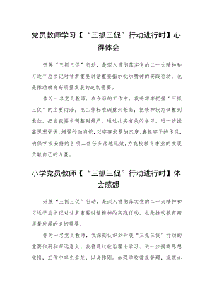 党员教师学习【“三抓三促”行动进行时】心得体会(精选四篇).docx