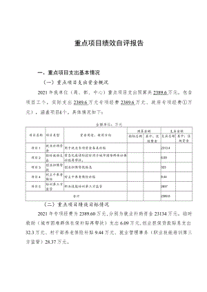 重点项目绩效自评报告.docx