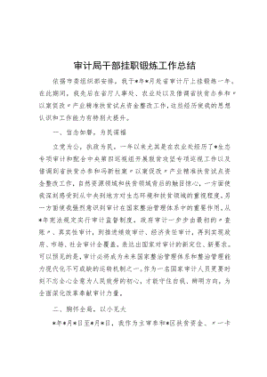 审计局干部挂职锻炼工作总结.docx