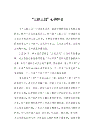 党员干部关于落实三抓三促行动的心得体会三篇.docx