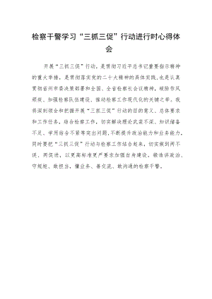 检察干警学习“三抓三促”行动进行时心得体会.docx