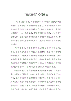 干部关于落实三抓三促行动学习体会3篇.docx