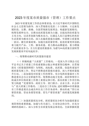2023年度某市质量强市（管理）工作要点.docx