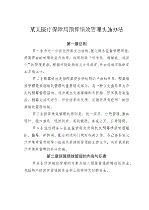 某某医疗保障局预算绩效管理实施办法.docx