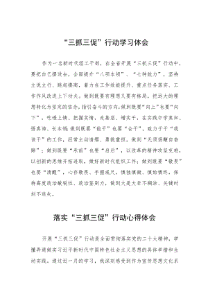 党员干部关于落实“三抓三促”行动学习心得3篇.docx