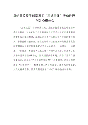 县纪委监委干部学习【“三抓三促”行动进行时】心得体会.docx