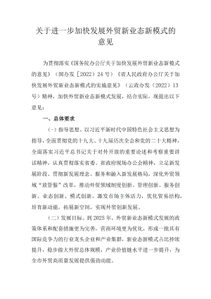 关于进一步加快发展外贸新业态新模式的意见.docx