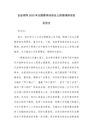 企业领导2023年主题教育动员会上的强调讲话发言范文.docx
