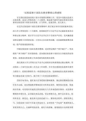 2023纪检监察干部队伍教育整顿心得感悟三.docx
