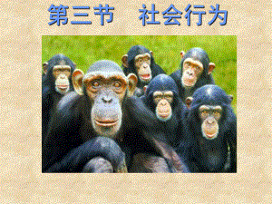 第三节社会行为精品教育.ppt