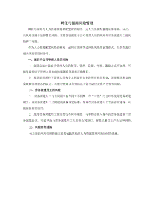 集团公司聘任与留用风险.docx