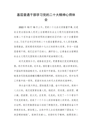 基层普通干部学习党的二十大精神心得体会.docx