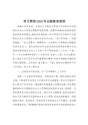 学习贯彻2023年主题教育感悟.docx