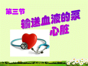 第三节输送血液的泵心脏精品教育.ppt