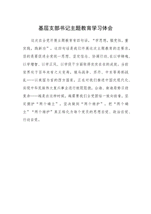 基层支部书记主题教育学习体会.docx