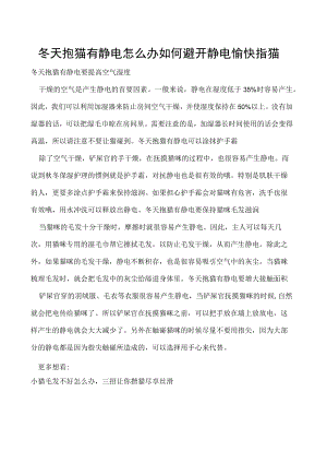 冬天抱猫有静电怎么办 如何避开静电愉快撸猫.docx