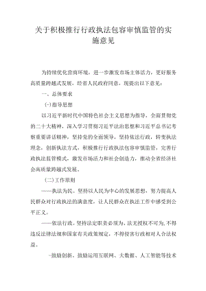 关于积极推行行政执法包容审慎监管的实施意见.docx