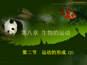 第二节运动的形成第二课时精品教育.ppt