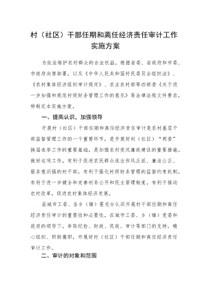 村（社区）干部任期和离任经济责任审计工作实施方案.docx