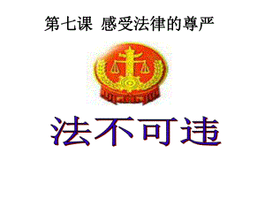 第二课时法不可违精品教育.ppt