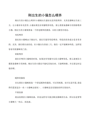 刚出生的小猫怎么喂养.docx
