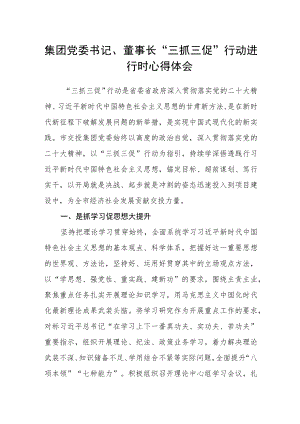 集团党委书记、董事长“三抓三促”行动进行时心得体会.docx