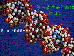第三节生命的基础——蛋白质精品教育.ppt