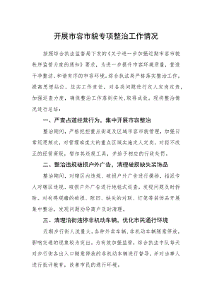 开展市容市貌专项整治工作情况.docx