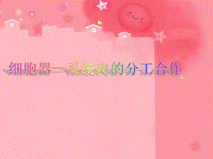 第二节细胞器精品教育.ppt