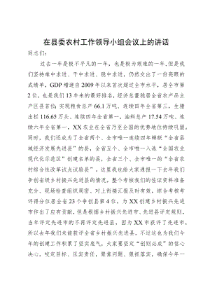 在农村工作领导小组会议上的讲话.docx
