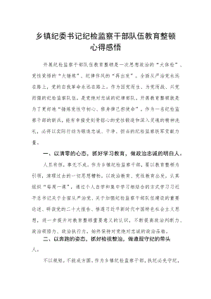 乡镇纪委书记纪检监察干部队伍教育整顿心得感悟.docx